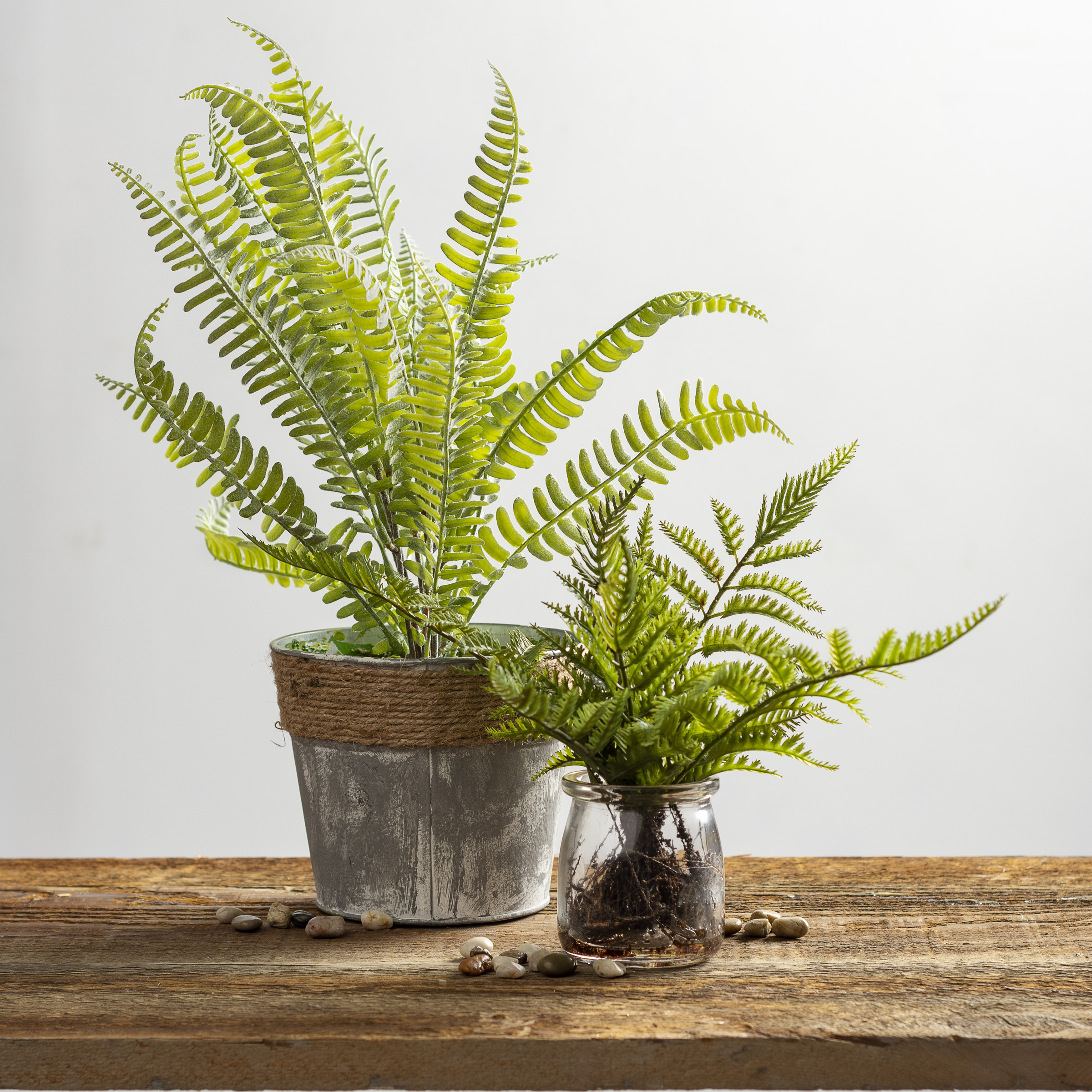 Fern Planter | Primitives By Kathy