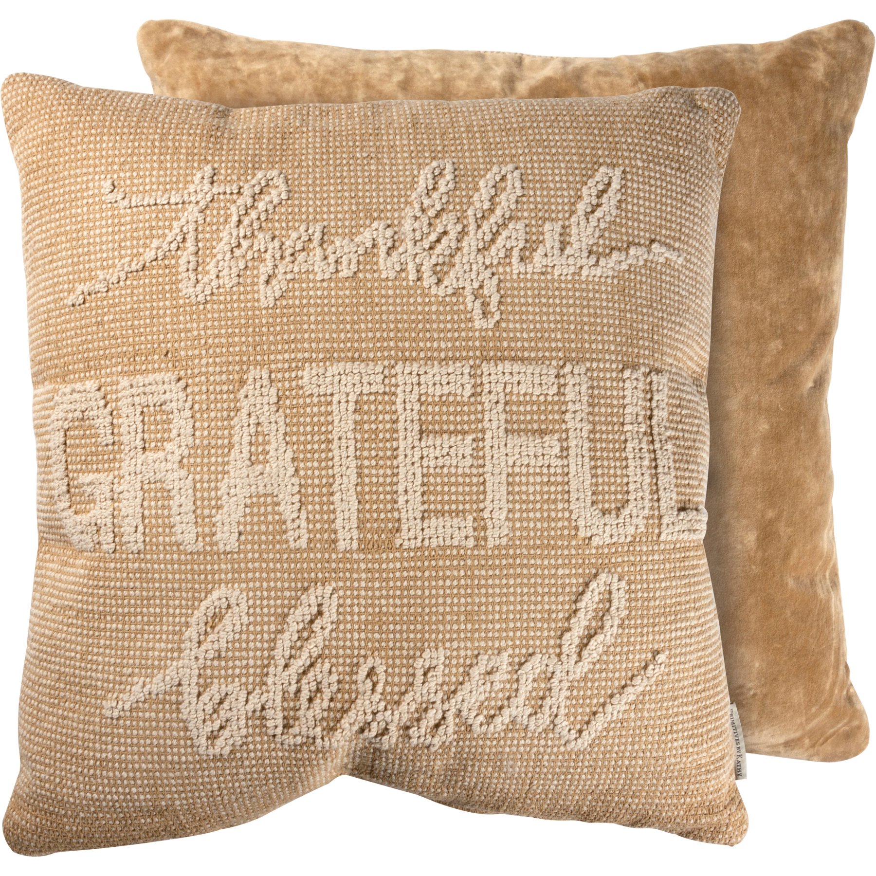 Blessed decorative outlet pillow